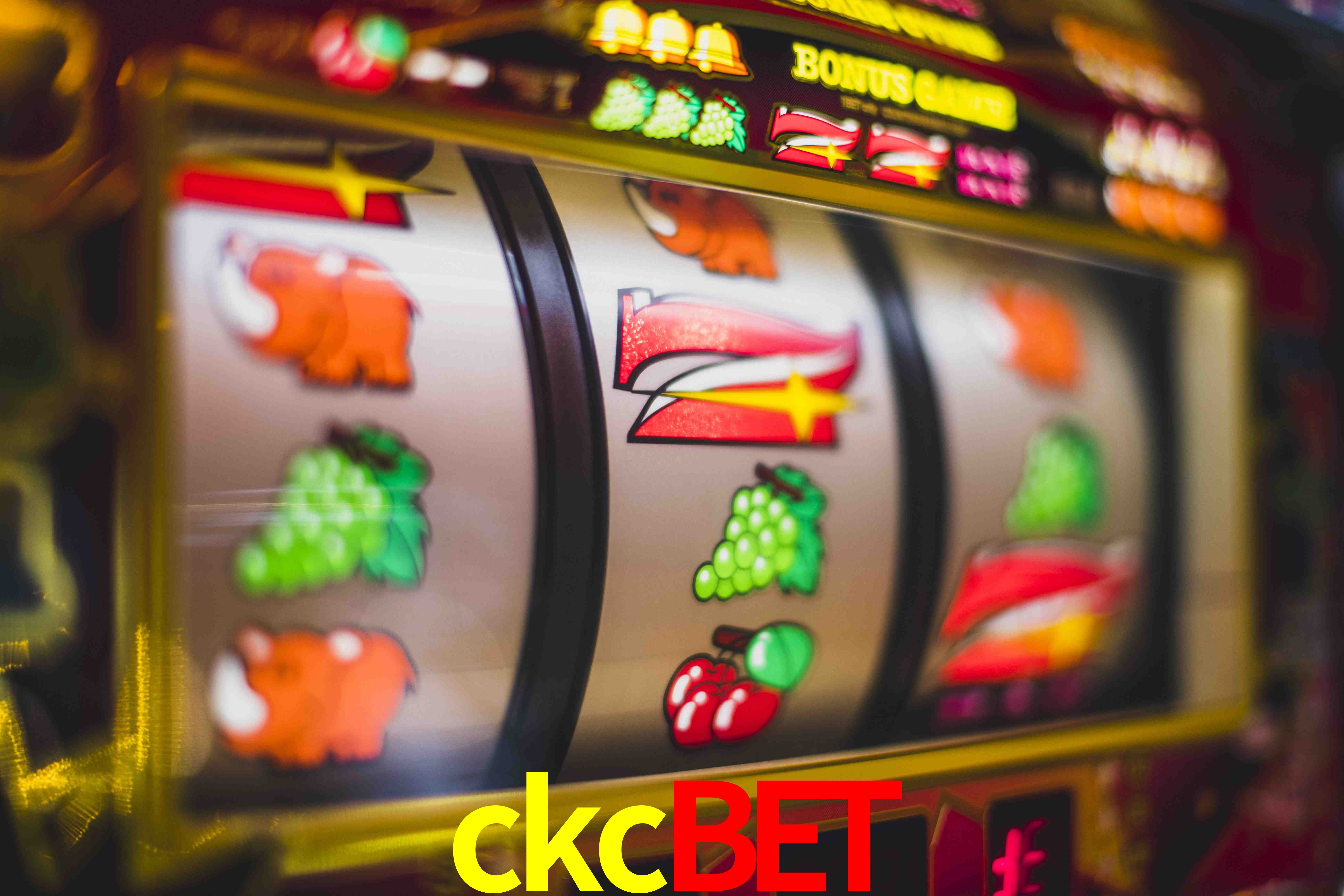 Experiência VIP ckcbet